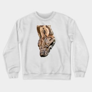 Boa Snake / Swiss Artwork Photography Crewneck Sweatshirt